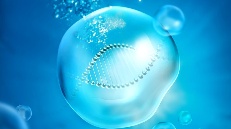 生物科技公司定制研发流程：揭秘高效研发之路**