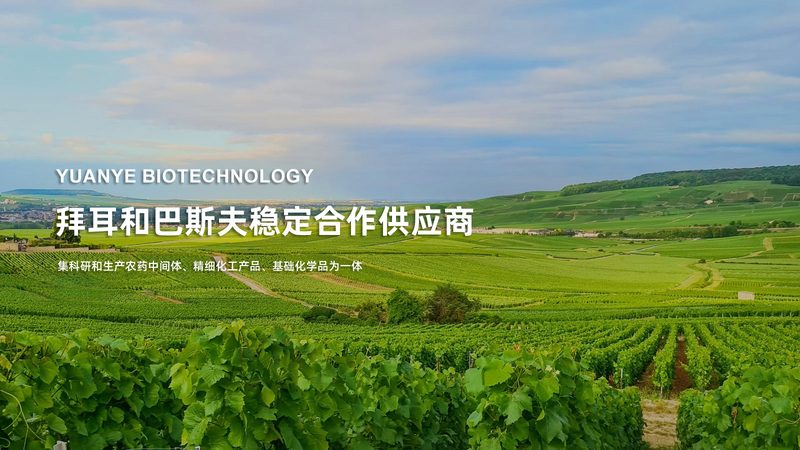 无血清培养基：价格之外，你还需要了解这些**