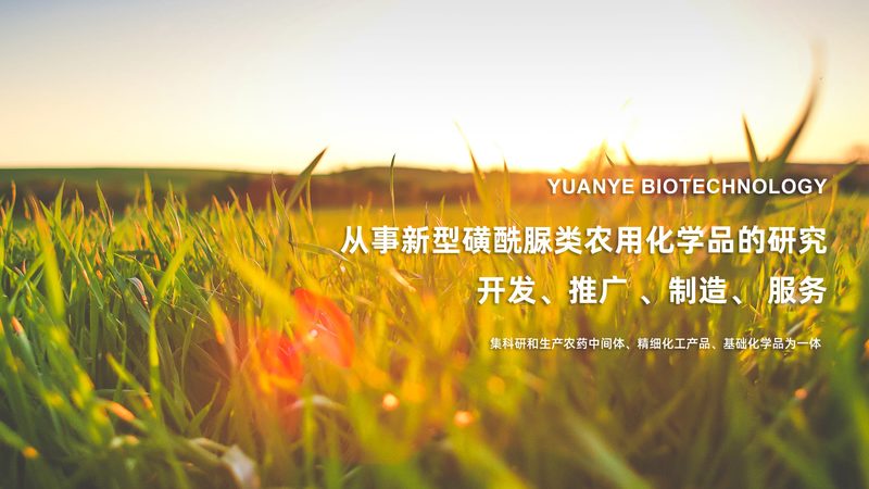高校实验耗材：如何选择合适的供应商**