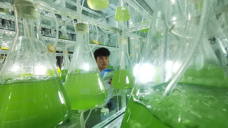 细胞培养污染处理：揭秘关键技术与优质厂家选择